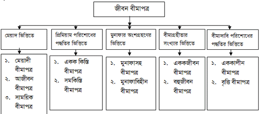 জীবন বীমার শ্রেণীবিভাগ