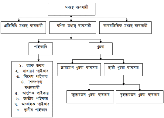 মধ্যস্থ ব্যবসায়ীর প্রকারভেদ